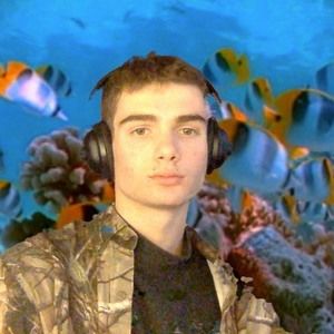 Meet your Posher, Will